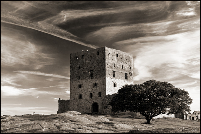 Hammershus Bienius #221320