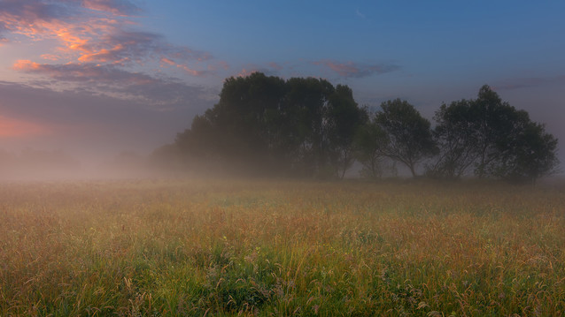 Mgła unosząca się nad polami Krzysztof Tollas #332059