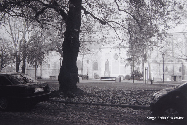 kingazofiasitkiewicz86 SONY DSC