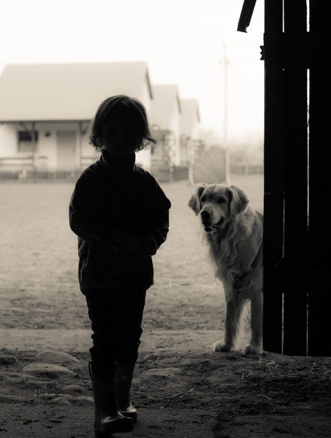 Marzena Sieradzka #209385