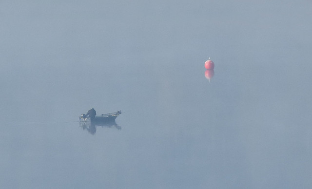 na celowniku... Stanisław Hawrus #348563