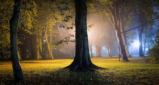 Park Miejski im. Stanisława Staszica w Pile we mgle Krzysztof