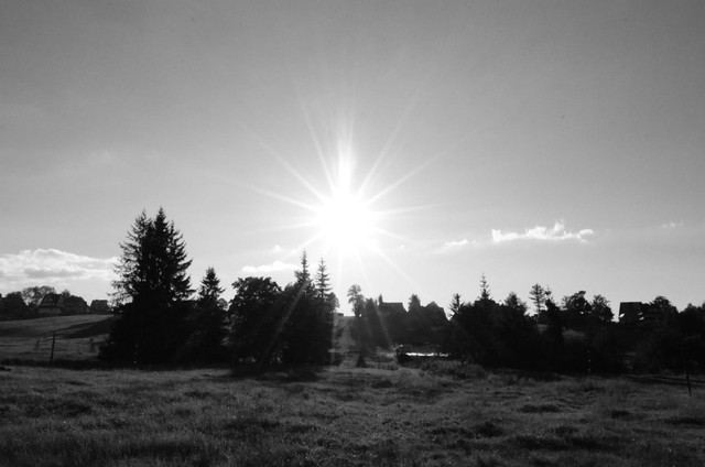 Krzysztof Mirga #219961