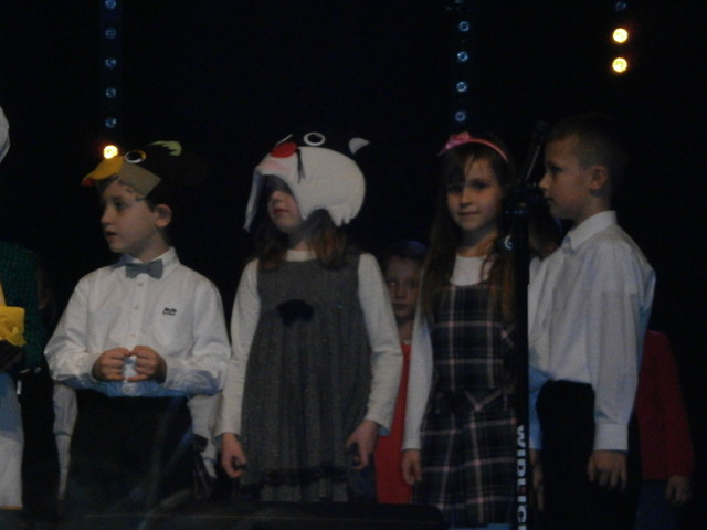 OLYMPUS DIGITAL CAMERA Janusz Metzger #199314