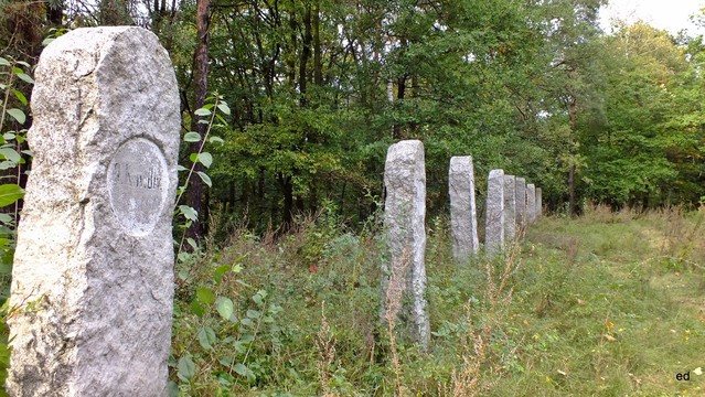 dzień zmarłych Picasa #300414