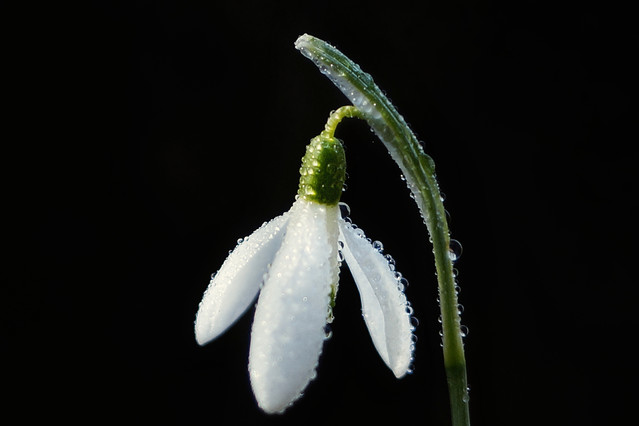 Sławek Rezerwa #348756