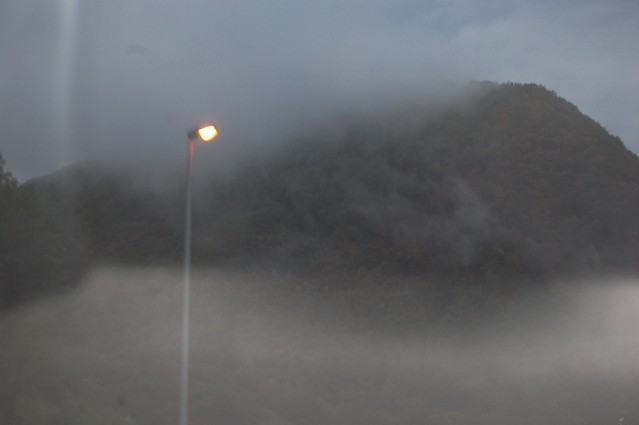 Katarzyna Stankiewicz #166590