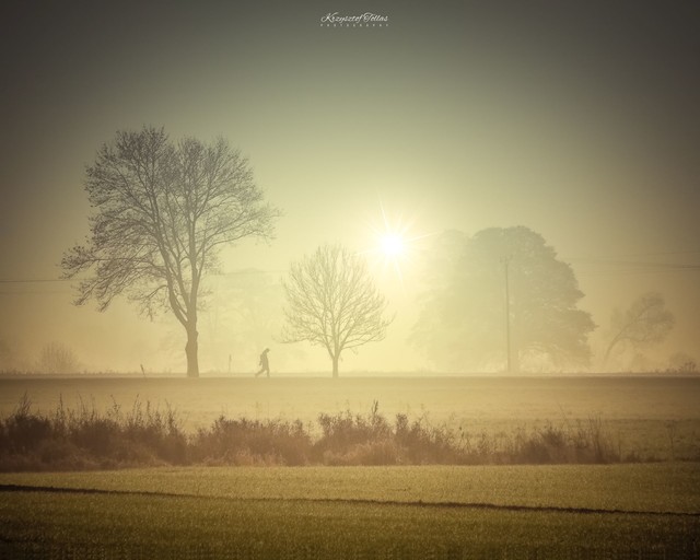 Wędrowiec Krzysztof Tollas #321302