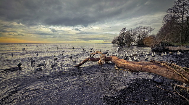 Lough Neagh - Antrim - N.Ireland atenytom #343790