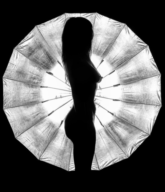 Robert Stefanowicz #289078