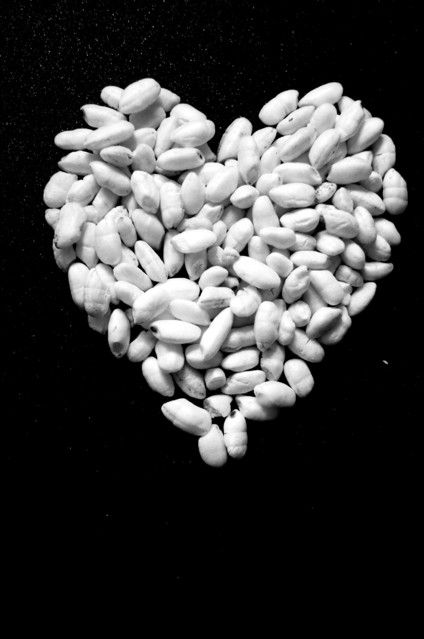 kopiaRobocza SONY DSC