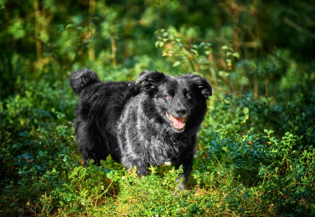 SONY DSC SONY DSC Tomasz Naglik #348094