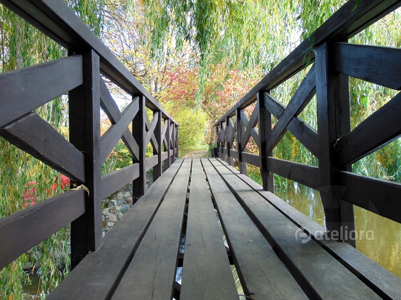 gizela | Parkowy mostek