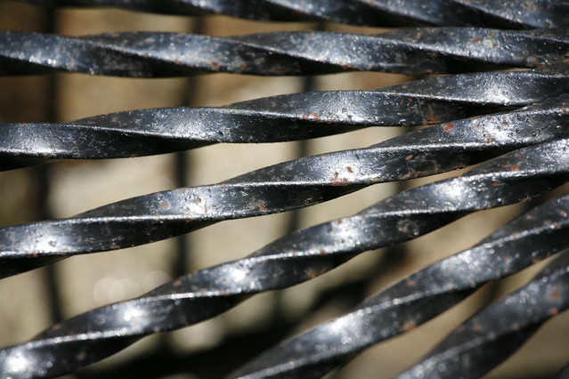 Maciej Frołow #100886