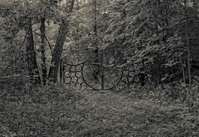 Krzysztof Bartkowski #254568