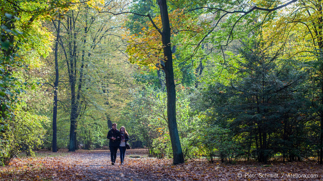 Jesień we wrocławskim parku. Jesień we wrocławskim parku. Piotr
