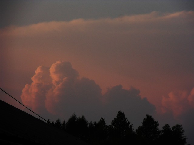 SAMSUNG DIGITAL CAMERA Marta Papuga #164665