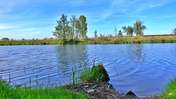 Picasa 