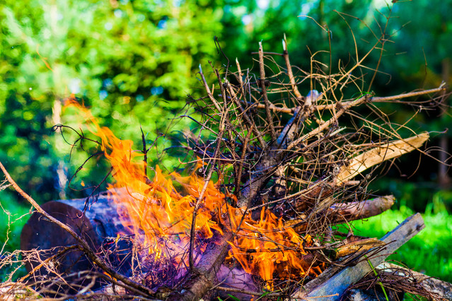 Jakub Schmidt #267713