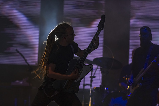 Z koncertu zespołu Małgorzaty Ostrowskiej darios #348271