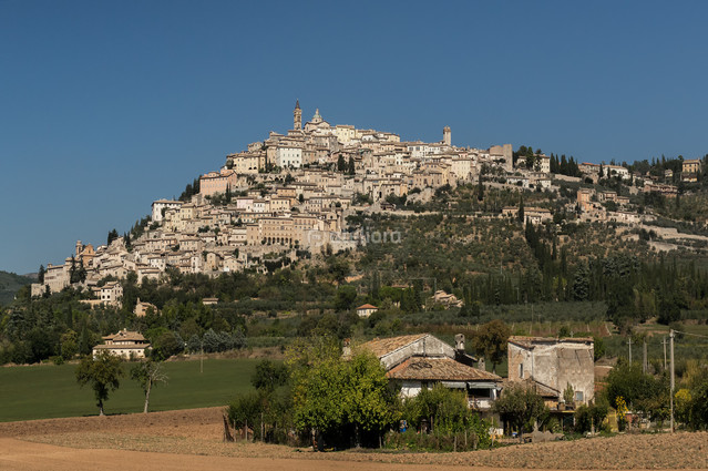 PRASNOWSKA BARBARA #298956