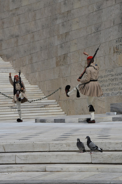 dwa gołąbki Stanisław Hawrus #298712