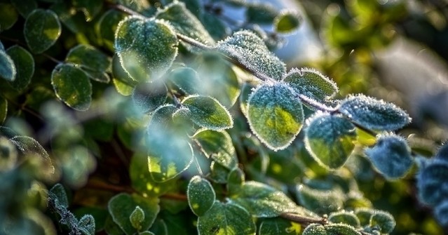 SONY DSC SONY DSC Tomasz Naglik #348524