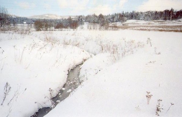 czarna06 