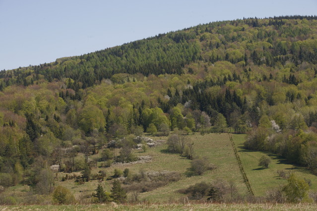 Adam Tuchlinski #197857