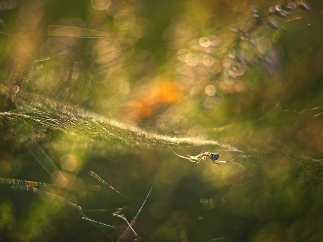 macrofun Na krawędzi...