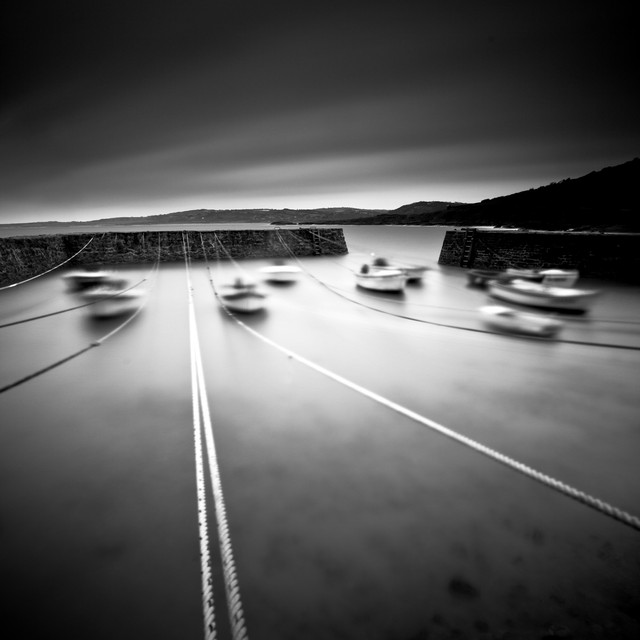 Nicolas Cesne #205157