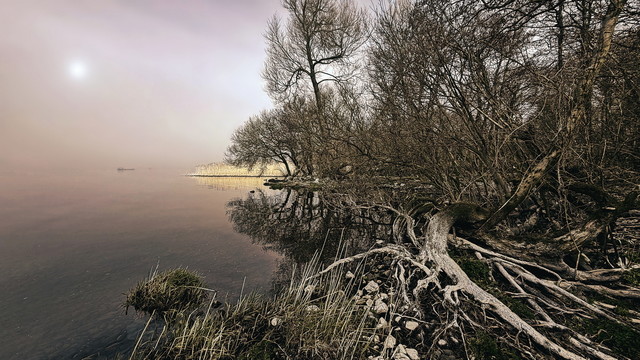 spring mists atenytom #348815