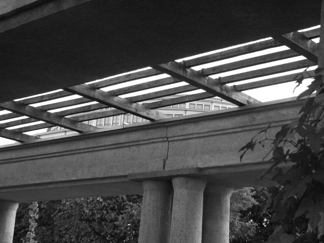 Karolina Lisowiec #201052