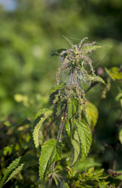 Dariusz WojtaIa* #318693