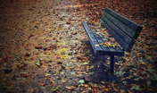 atenytom autumn emptiness