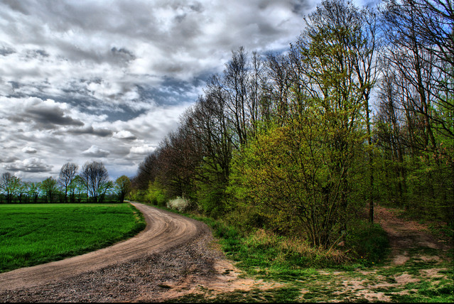 Krzysztof Maik #128130