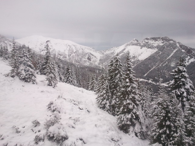 SAMSUNG Robert Wierzbicki #111637