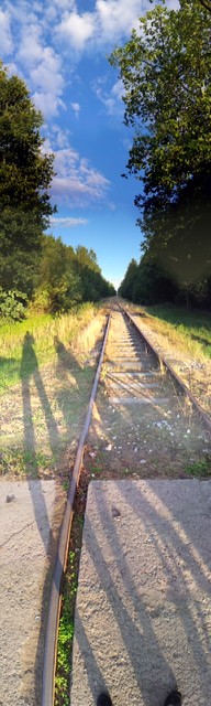 Gabriela Głażewska #164672