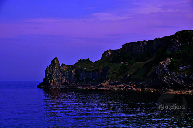 Zbigniew Kapusta #317968