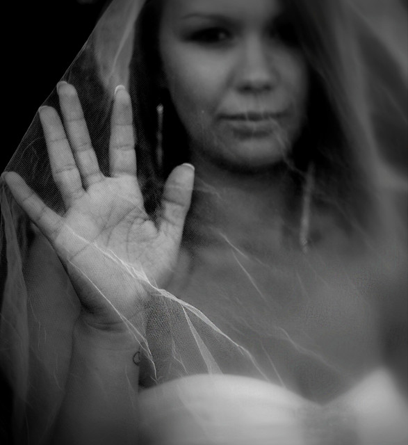 Picasa #256618
