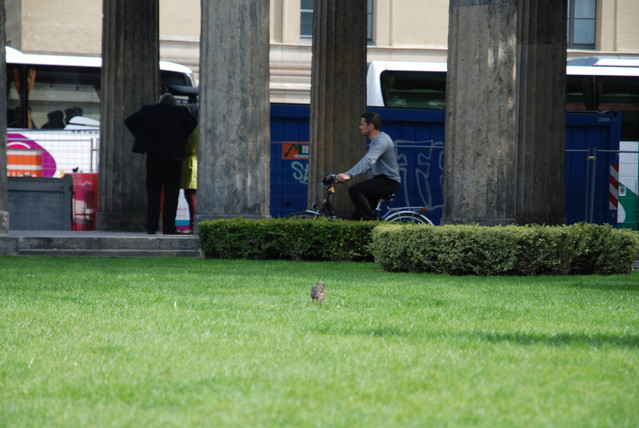 Jacek Pióro #262081