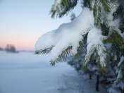 seylll OLYMPUS DIGITAL CAMERA