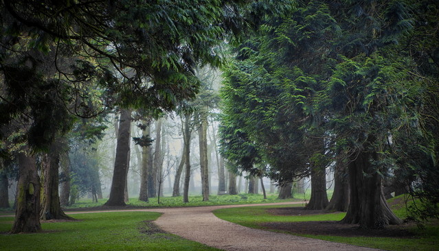 in a green maze atenytom #336063