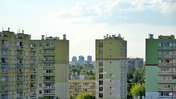 Picasa 