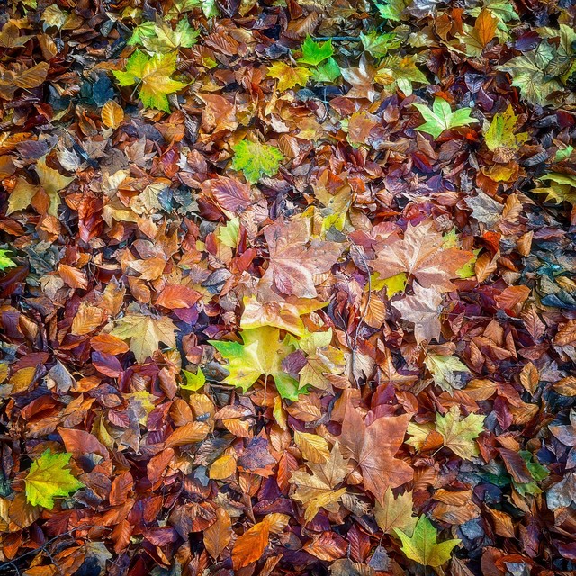 Tomasz Naglik #348470