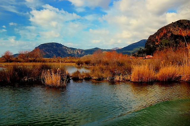 ********* Zbigniew Stanislawski #144948