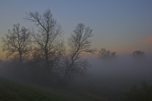 MarekCzubaszek #180391