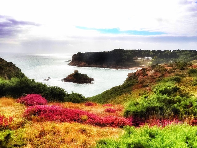 Agnieszka Ilska #279243