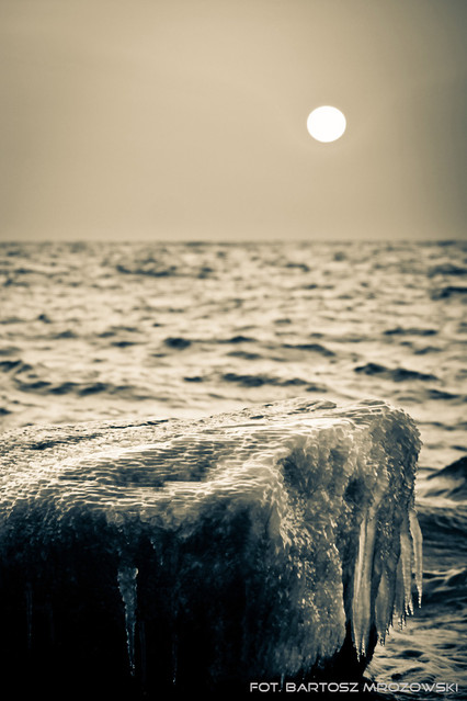 Bartosz Mrozowski #137238