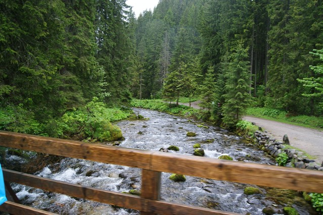 BIAŁKA TATRZŃSKA ZYGMUNT CZARNECKI #173236